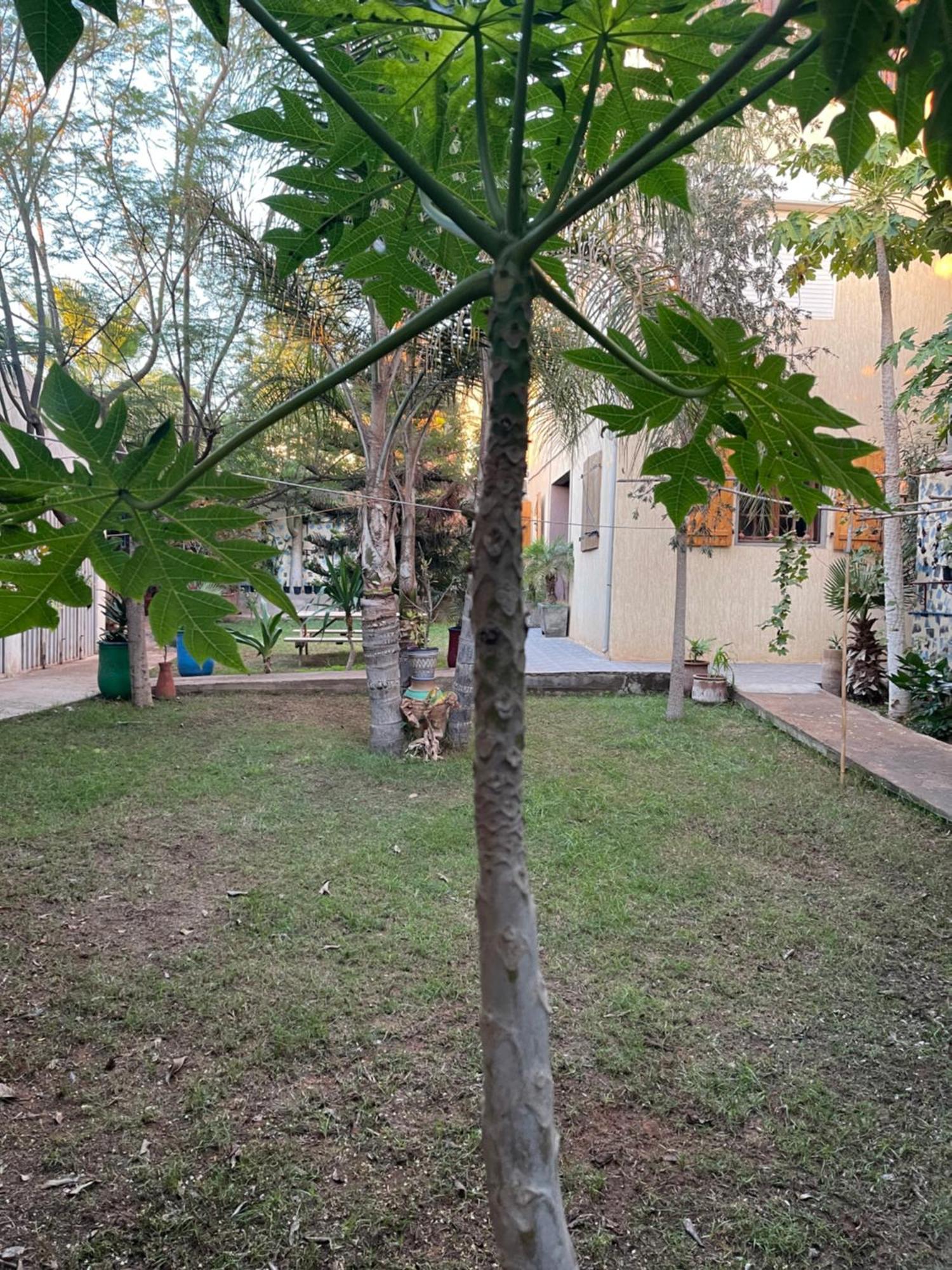 Riad Targante Takate 1 Sidi Bibi Exterior foto